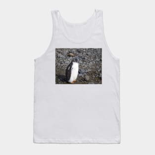 Gentoo penguin chick at Brown Bluff Tank Top